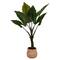 American Art Decor 4ft Artificial Rainbow Taro Tree in Cement Pot Faux Plant